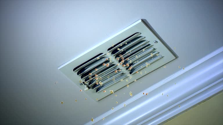 Best Emergency Air Duct Cleaning  in Pickens, MS