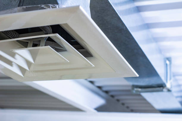 Best Professional Duct Cleaning Services  in Pickens, MS